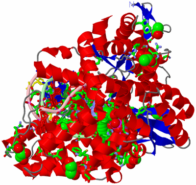 Image Asym./Biol. Unit - sites