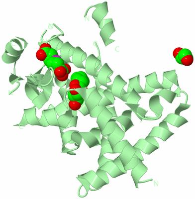 Image Biological Unit 2