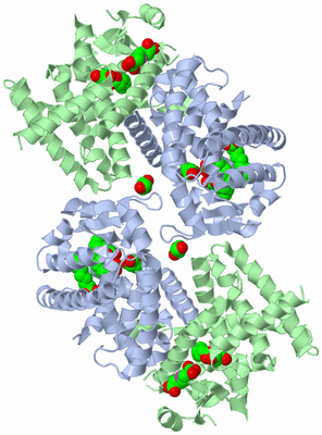 Image Biological Unit 3