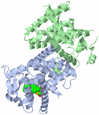 Image Biological Unit 3