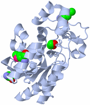 Image Biological Unit 3