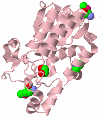 Image Biological Unit 5