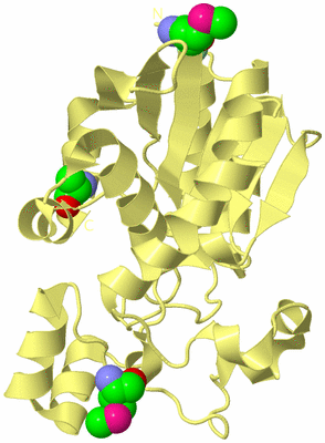 Image Biological Unit 6