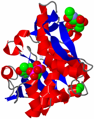 Image Asym./Biol. Unit