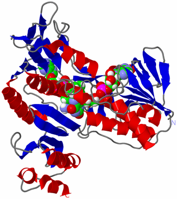 Image Asym./Biol. Unit