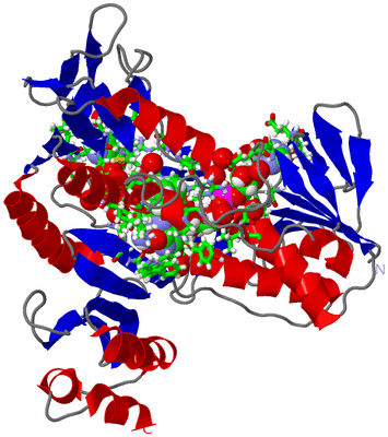 Image Asym./Biol. Unit - sites