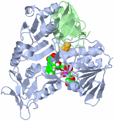 Image Asym./Biol. Unit