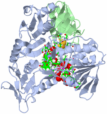 Image Asym./Biol. Unit - sites