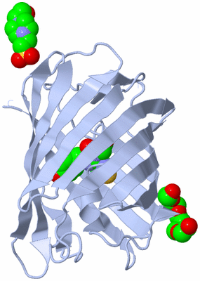 Image Biological Unit 1