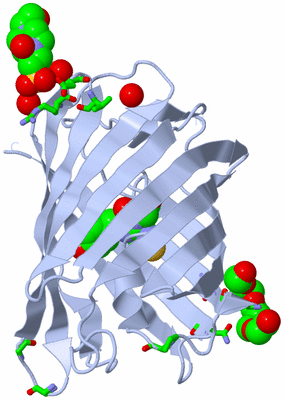 Image Biol. Unit 1 - sites