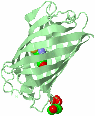 Image Biological Unit 2