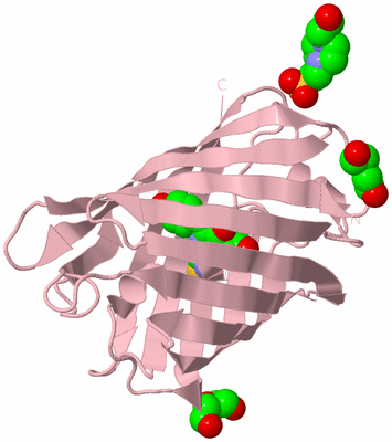 Image Biological Unit 3