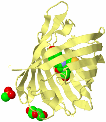 Image Biological Unit 4