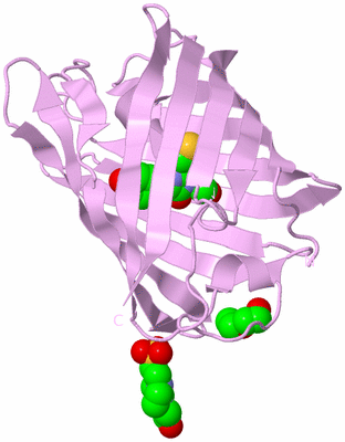 Image Biological Unit 5