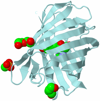 Image Biological Unit 6