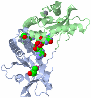 Image Biological Unit 1