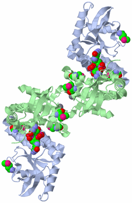 Image Biological Unit 2