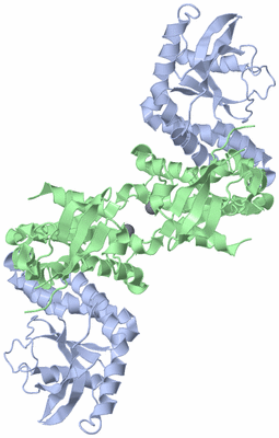 Image Biological Unit 2