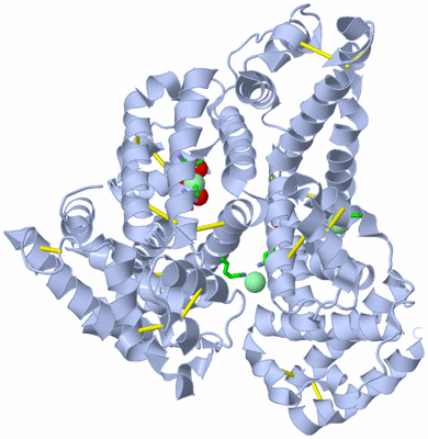 Image Biol. Unit 1 - sites