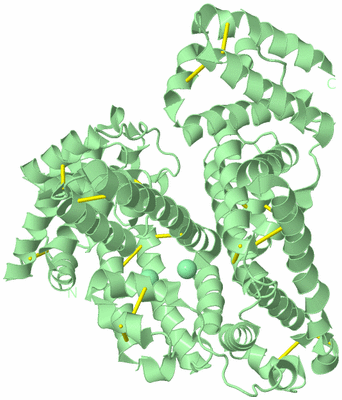 Image Biological Unit 2