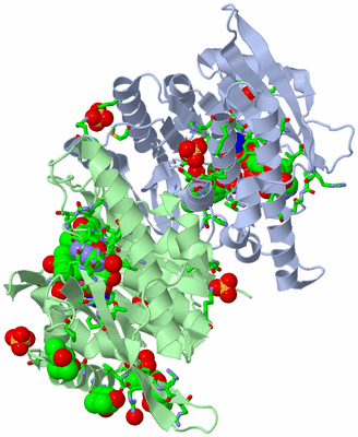 Image Asym./Biol. Unit - sites