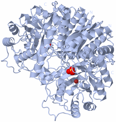 Image Biological Unit 1