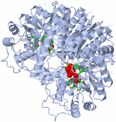 Image Biol. Unit 1 - sites