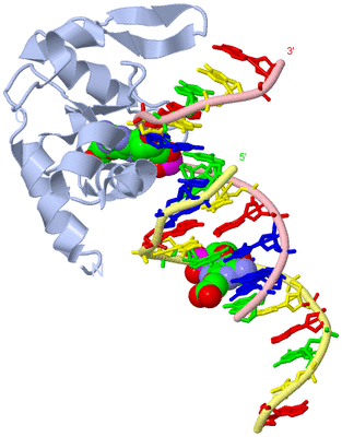 Image Biological Unit 1