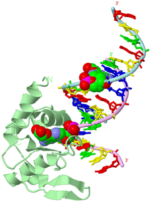 Image Biological Unit 2