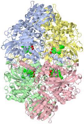 Image Asym./Biol. Unit