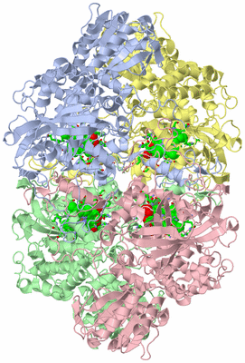 Image Asym./Biol. Unit - sites