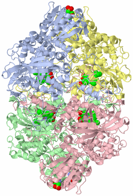 Image Asym./Biol. Unit