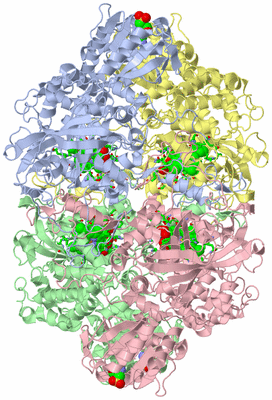 Image Asym./Biol. Unit - sites