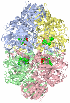 Image Asym./Biol. Unit