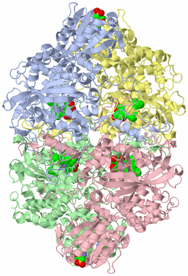 Image Asym./Biol. Unit