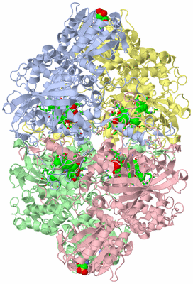 Image Asym./Biol. Unit - sites