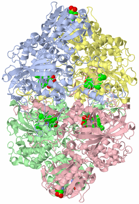 Image Asym./Biol. Unit