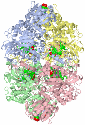 Image Asym./Biol. Unit - sites