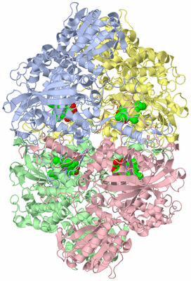 Image Asym./Biol. Unit