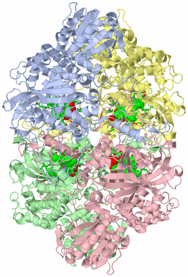 Image Asym./Biol. Unit - sites