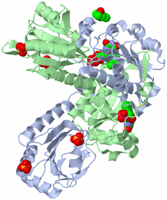 Image Asym./Biol. Unit