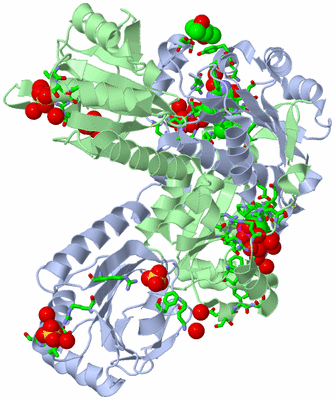 Image Asym./Biol. Unit - sites