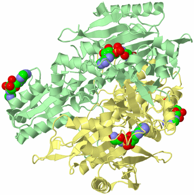 Image Biological Unit 2