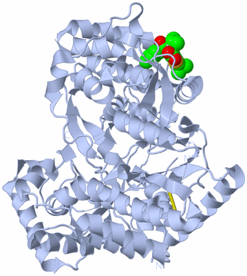 Image Biological Unit 1