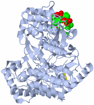 Image Biol. Unit 1 - sites