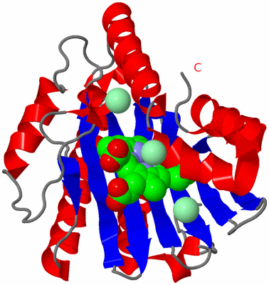 Image Asym./Biol. Unit