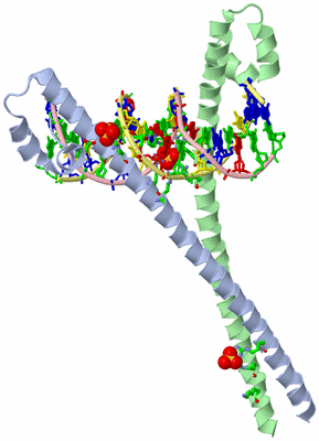 Image Asym./Biol. Unit - sites