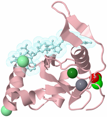 Image Biological Unit 3