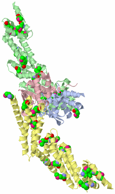 Image Biological Unit 1