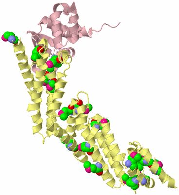 Image Biological Unit 3